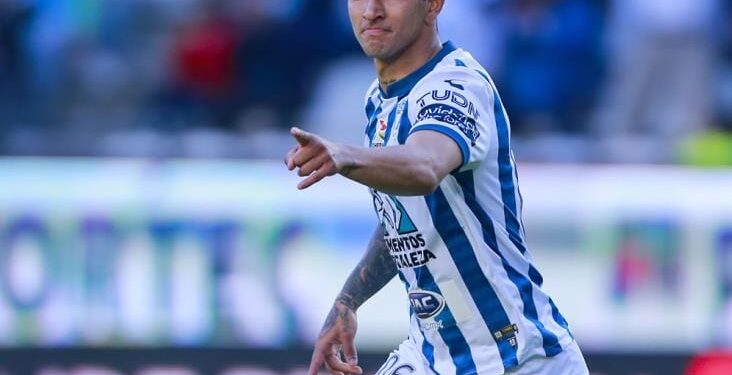 Empieza la manita de gato de Hierro.