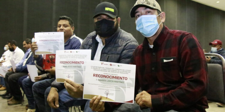 Regresan de Canadá 330 trabajadores agrícolas tamaulipecos de 29 municipios