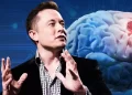Neuralink de Elon Musk es acusada de matar más de 1,500 animales
