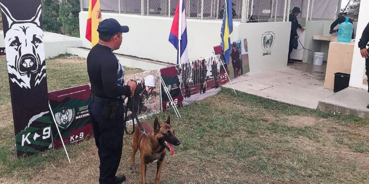 Binomio canino de la Guardia Estatal asiste aDiplomado Nacional para Perros Multipropósito
