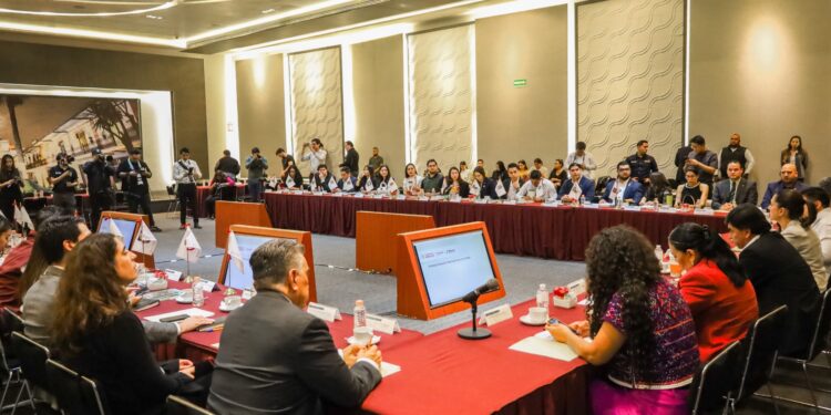 Participa INJUVE Tamaulipas en reunión nacional de Instancias de la Juventud