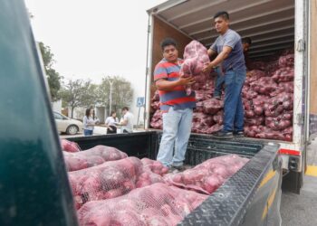 Donan 19 toneladas de productos del campo al DIF Tamaulipas