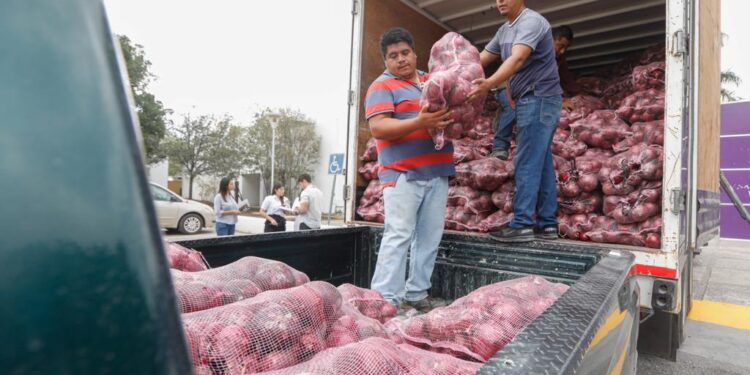 Donan 19 toneladas de productos del campo al DIF Tamaulipas
