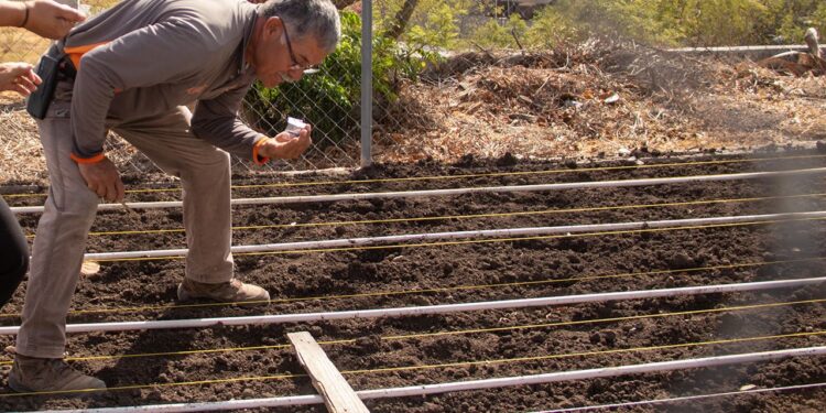 Desarrolla UAT proyecto de composta y huertos orgánicos