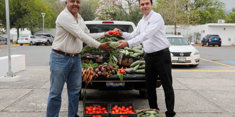 Recibe DIF Tamaulipas donativo de 213 kilogramos de hortalizas.