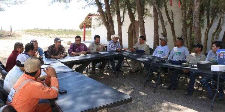 Trabajan autoridades de Tamaulipas con el Gladys Porter Zoo para la protección de tortuga lora