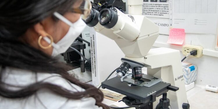 Analizan bacteria que afecta a los perros y que puede trasmitirse al ser humano