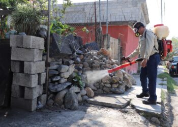 Exhorta Secretaría de Salud a la población a reforzar medidas de prevención contra el dengue
