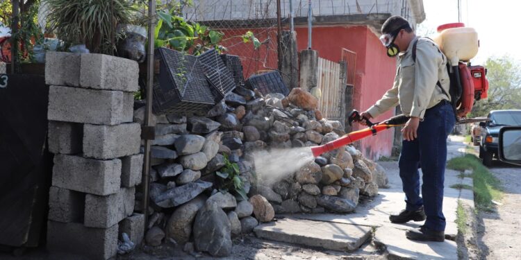 Exhorta Secretaría de Salud a la población a reforzar medidas de prevención contra el dengue