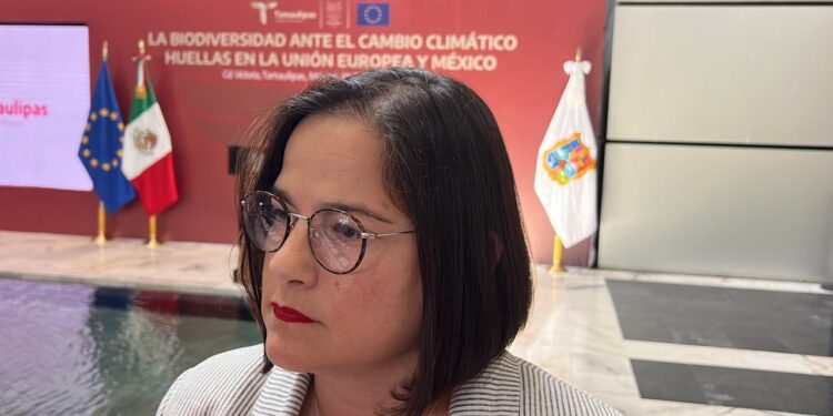 Pagarán retroactivo de incremento salarial a trabajadores del sector educativo de Tamaulipas