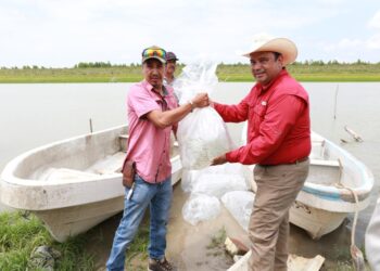 Inicia repoblamiento de lobina negra en la Presa «Vicente Guerrero»