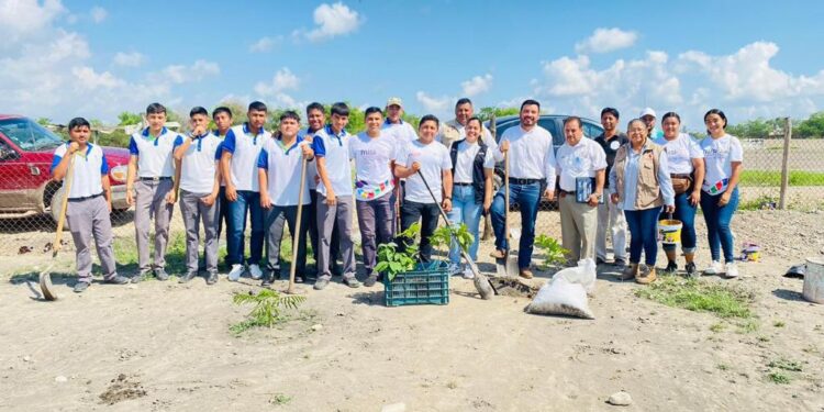 Con acciones jóvenes voluntarios demuestran ser aliados del medio ambiente