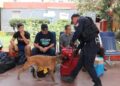 Binomios caninos de la Guardia Estatal redoblan vigilancia en Central de Autobuses