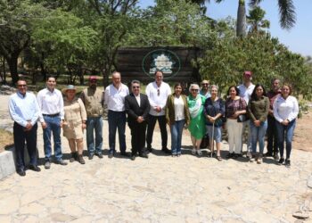 Rehabilita SEDUMA Vivero Anacahuita en Victoria