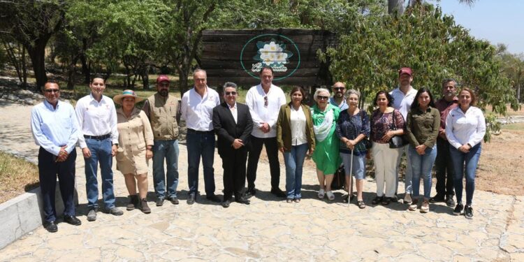 Rehabilita SEDUMA Vivero Anacahuita en Victoria