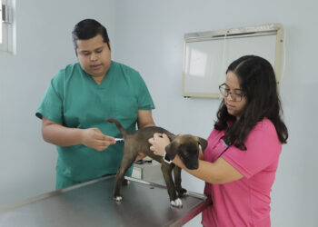 Hospital veterinario de la UAT ofrece servicios de calidad a bajo costo