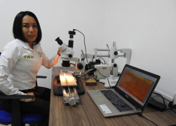 Analiza la UAT patrones de lluvia y efectos del cambio climático en pinos piñoneros