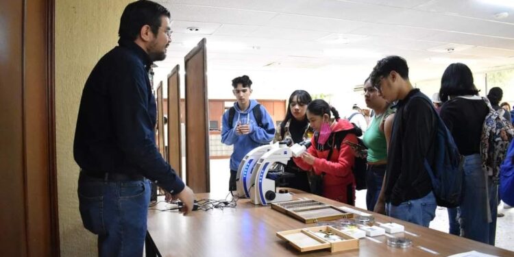 Identifica UAT plantas con potencial bioinsecticida 