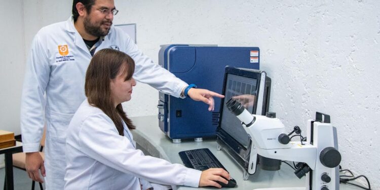 Estudia la UAT el impacto de la urbanización y contaminación en la vegetación en México