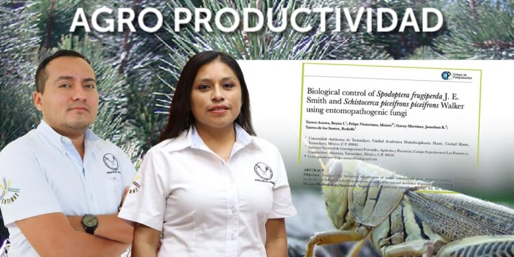 Capacita UAT en Lengua de Señas Mexicana a estudiantes de Enfermería Nuevo Laredo