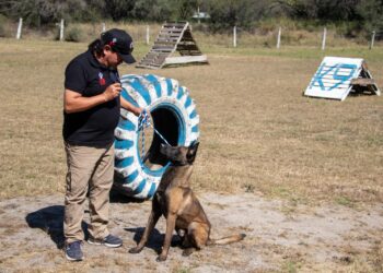 Implementa la UAT cursos de adiestramiento canino