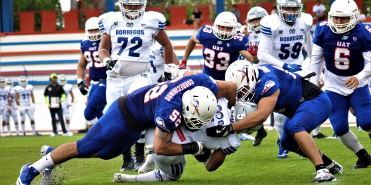 Correcaminos UAT está de regreso en Liga Mayor de ONEFA