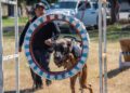 Estudiante de la UAT aporta su experiencia en adiestramiento canino al servicio comunitario