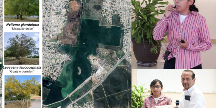 Analiza la UAT el uso de plantas nativas para recuperar suelos contaminados.