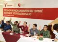 Define Comité Estatal de Seguridad en Salud Estrategias para prevenir enfermedades