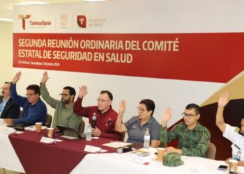 Define Comité Estatal de Seguridad en Salud Estrategias para prevenir enfermedades
