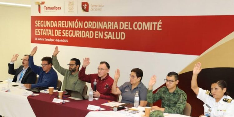 Define Comité Estatal de Seguridad en Salud Estrategias para prevenir enfermedades