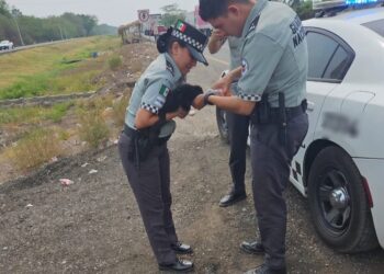 En Tabasco, rescatan a mono saraguato o aullador, ofrecido a la venta a un costado de la carretera