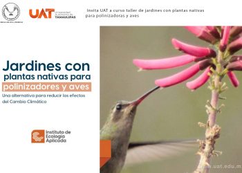 Enseñará la UAT a crear espacios ecológicos para especies polinizadoras.