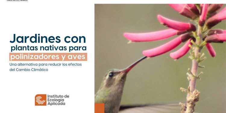 Enseñará la UAT a crear espacios ecológicos para especies polinizadoras.