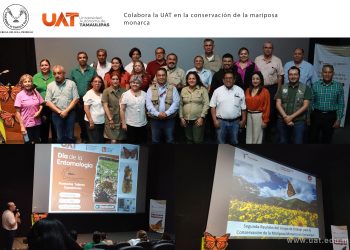 Colabora la UAT en la conservación de la mariposa monarca.