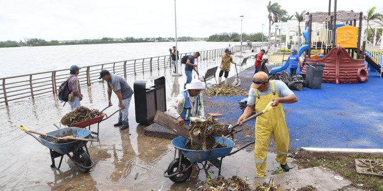 Atiende Ayuntamiento Porteño Afectaciones Causadas por Intensas Lluvias