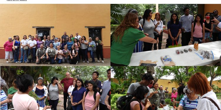 Realiza la UAT el segundo taller de jardines para polinizadores y aves