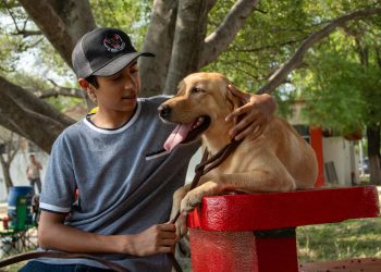 Pondrá la UAT en adopción héroes caninos.
