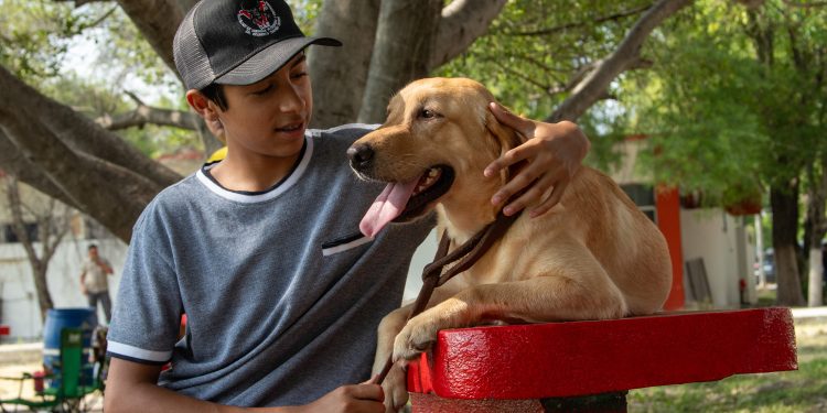 Pondrá la UAT en adopción héroes caninos.
