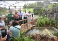 Inauguran Chucho Nader y Aída Féres de Nader Nuevo Orquideario en el Vivero Municipal