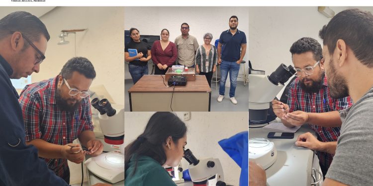 Imparte la UAT un curso especializado de investigación científica en entomología