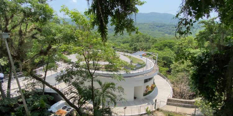 Invitan a Diplomado Internacional en Conservación y Desarrollo Sostenible