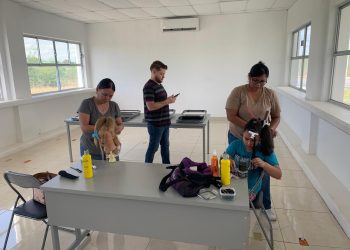 Impulsa SEBIEN actividades familiares en Centros de Bienestar
