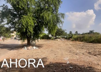 Rescatan la PAUT predio en Tampico tras retiro de escombros y desechos