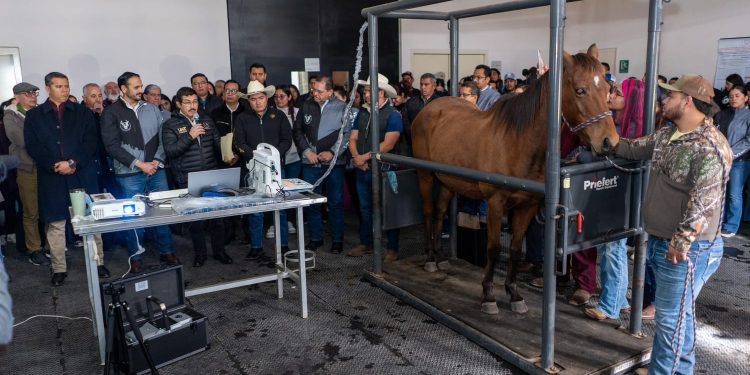 Equipa la UAT con alta tecnología Hospital Veterinario de Grandes Especies
