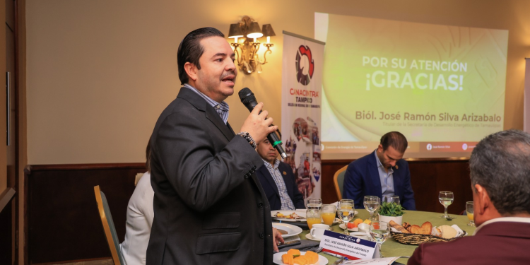 Es Tamaulipas el estado con mayor capacidad eléctrica