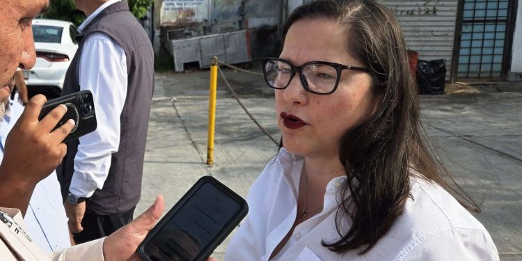 Maestros de inglés basificados y con derechos: SET