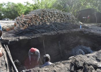 Ocupa Tamaulipas segundo lugar a nivel nacional en producción de carbón