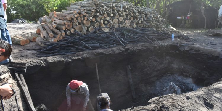 Ocupa Tamaulipas segundo lugar a nivel nacional en producción de carbón