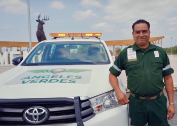 Viaja seguro, los Ángeles Verdes te apoyan en el camino: Turismo